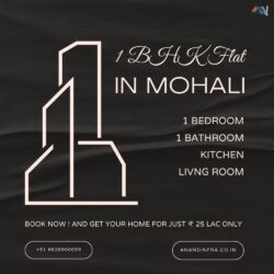 1 BHK Flats For Sale In Mohali Anandinfra.co.in 789 (2)