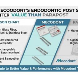 Mecodont vs ParaPost_ Better Value Endodontic Post System