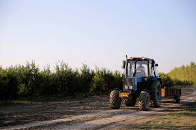 Buy and Sell Used Tractors With Trusted Auction Services Buy and Sell Used Tractors With Trusted Auction Services