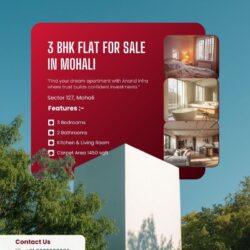 3 BHK Flats for sale in Mohali (Anand Infra) 56496546 (1)