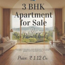 3 BHK Flats For Sale in Panchkula (Anand Infra) 4698