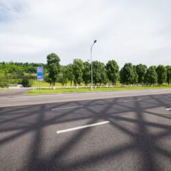 forest-road_1112-1867