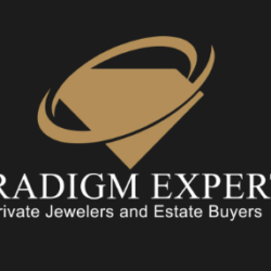 Paradigm Experts