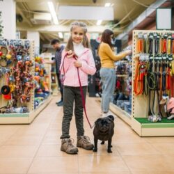pet store qatar