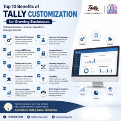 Top 10 Benefits of Tally Customization for Growing Businesses