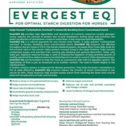 Horse Digestive Supplement  EverGEST EQ Enzymes – Evergreen Equine