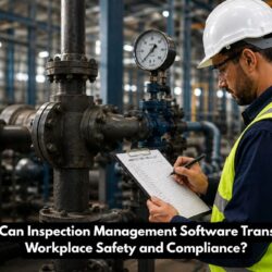 inspection management