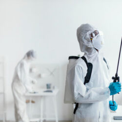 pest control 3 (1)