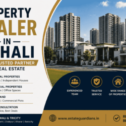 Property Dealer in Mohali (1)