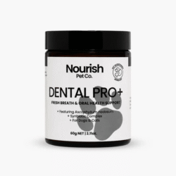 dental_jar_web_image