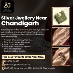 Silver Jwellery Near Chandigarh (1)