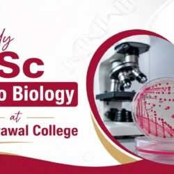 Study B Sc Micro Biology at S S Agrawal College