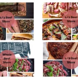 Quarter Cow vs Half Cow vs Whole Cow_ Beef Share Buying Guide – Melvin Hill Meats