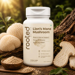 Lion's Mane Mushroom 60 Capsules