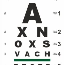 Literate-Eye-chart-Heuer-New-Static-QR-COde-24-2-2026.jpg-scaled
