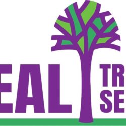 Ideal Tree Service