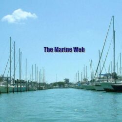 The-Marine-Web-1920w