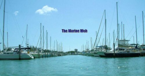 The-Marine-Web-1920w The-Marine-Web-1920w
