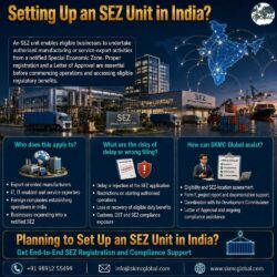Setting Up an SEZ Unit in Indi-201kb