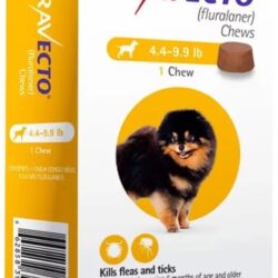 bravecto-for-dogs