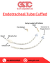 Endotracheal Tube Cuffed (1) (1)