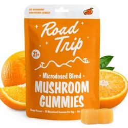 Road Trip Gummy_ Microdosed Functional Mushrooms for Focused Adventures – Matelski Family Farm