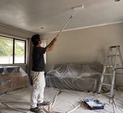 interior-colours-nz