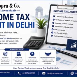 Income Tax Audit in Delhi