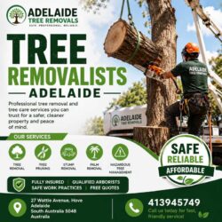 Professional Tree Removalists Adelaide for Safe, Reliable Service