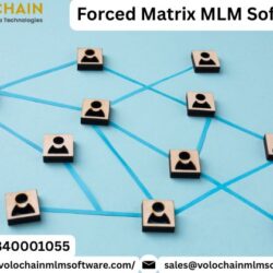 Forced Matrix MLM Software  (2)