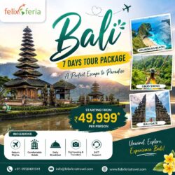 Bali-7-Days-Tour-Package-Felix-Feria-Travels