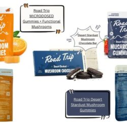 Best Mushroom Gummies in 2026_ Functional & Microdose Guide – Matelski Family Farm