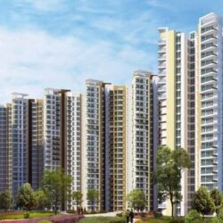 apartments-for-rent-in-amrapali-heartbeat-city-sector-107-noida (1)
