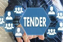 Tender Consultancy Services in India