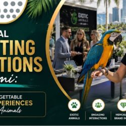 Experiential Marketing Activations in Miami01