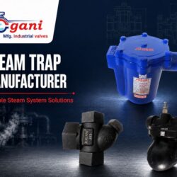 Steam Trap Manufacturer