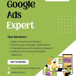 google ads expert (1)