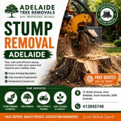 Professional Stump Removal Adelaide Services for a Clearer Outdoor Space