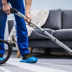 carpet and upholstery service