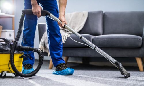 carpet and upholstery service carpet and upholstery service