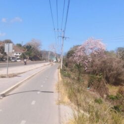 Real Estate For Sale in Ursulo Galvan