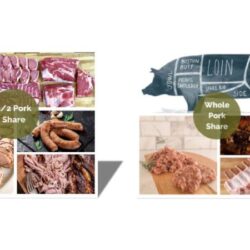 Best Pasture Raised Pork in Tryon, NC _ Buy Local Farm Direct Pork – Melvin Hill Meats