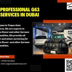 Professional RANGE ROVER Services (6)