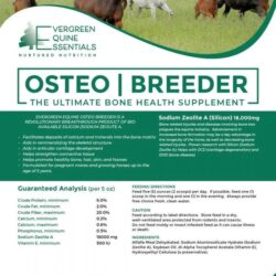 Horse Joint & Bone Supplement _ Osteo-Breeder Mineral – evergreenequine.com