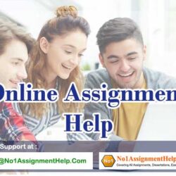 Online-Assignment-Help