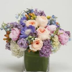 Send Warm Wishes and Cheerful Blooms with Same Day Get Well Flowers