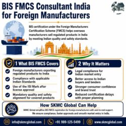 BISFMCSconsultantindiaforforeignmanufacturer
