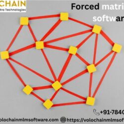 Forced matrix mlm software