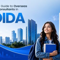 Overseas Education Consultant in Noida