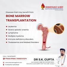 bone marrow transplant doctor